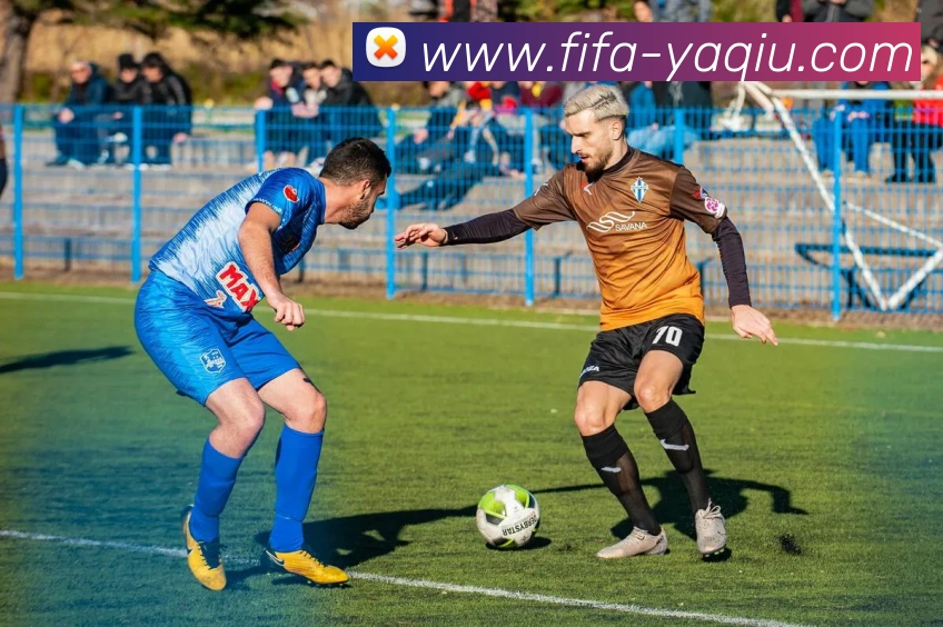 App Interface Preview